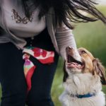 10 astuces infaillibles pour contrer les comportements agressifs envers les propriétaires ! Tu ne croiras pas la 7ème !