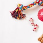 10 raisons pour lesquelles les jouets interactifs pour chiens rendent votre compagnon à quatre pattes plus heureux !