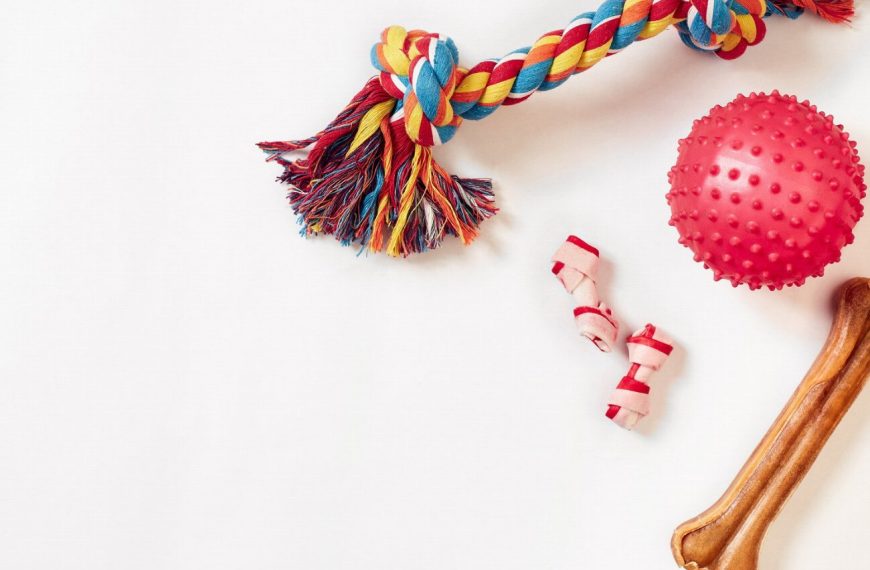 10 raisons pour lesquelles les jouets interactifs pour chiens rendent votre compagnon à quatre pattes plus heureux !