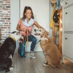 11 astuces infaillibles pour rendre vos promenades avec votre chien aussi agréables qu&rsquo;un paradis canin !