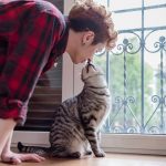 5 activités incontournables pour renforcer le lien avec votre chat âgé et lui redonner une seconde jeunesse !