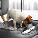 5 astuces infaillibles pour mettre fin à la désobéissance de votre enfant !