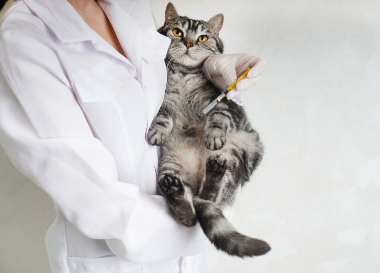7 activités surprenantes pour booster le bien-être physique…