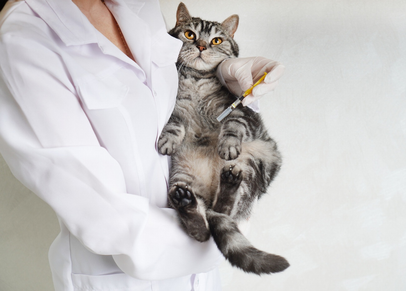 7 activités surprenantes pour booster le bien-être physique de votre…