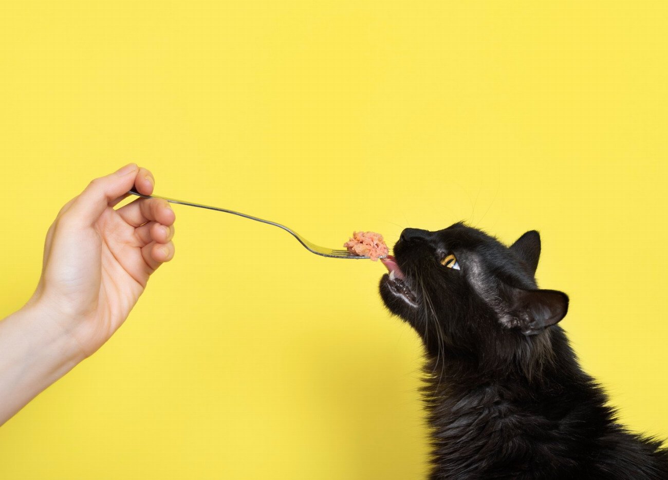 Alerte ! Ces produits chimiques courants sont dangereux pour nos…