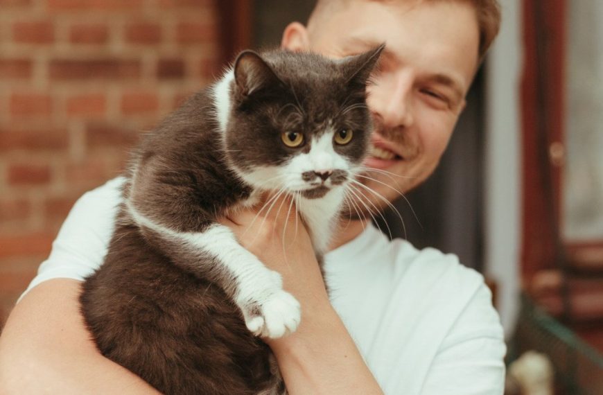 Alerte : Ces produits cosmétiques peuvent mettre la vie de votre chat en danger ! Découvrez les risques à éviter absolument !