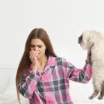 Alerte ! Découvrez comment sauver votre chat des problèmes cardiaques infectieux – Conseils essentiels à connaître !