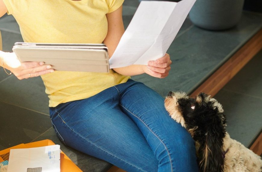 Assurance santé pour chien : le guide ultime pour votre fidèle compagnon !