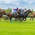 Asturcón : guide race de cheval