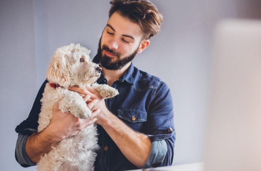 Barbu Tchèque : guide race de chien