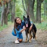 Berger de Brie : guide race de chien