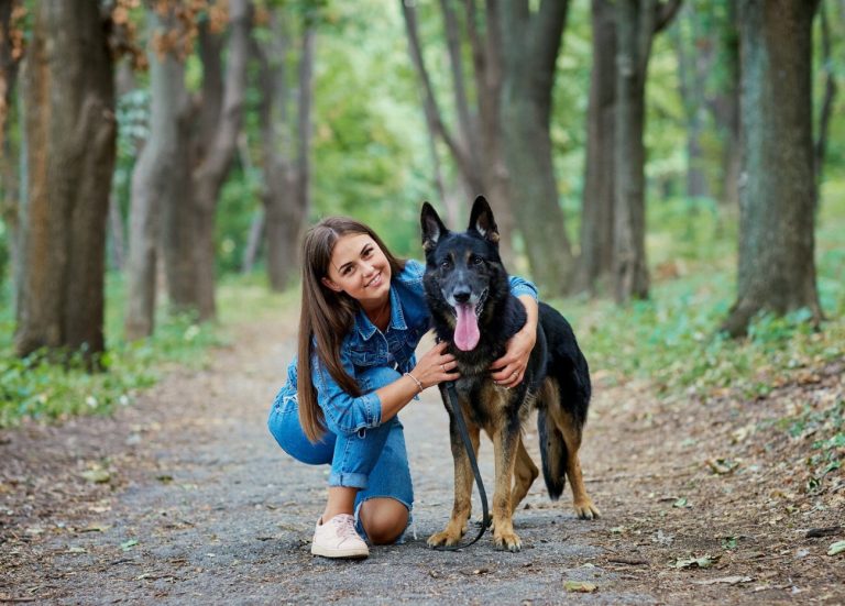 Berger de Brie : guide race de chien