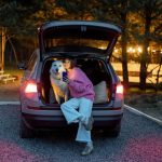 Ce que vous devez absolument savoir pour voyager en voiture avec un chien anxieux ! Des astuces incroyables à découvrir!