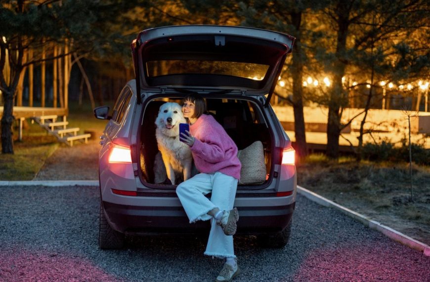 Ce que vous devez absolument savoir pour voyager en voiture avec un chien anxieux ! Des astuces incroyables à découvrir!