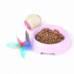 Ces jouets révolutionnaires garantissent des heures de détente à votre chat !