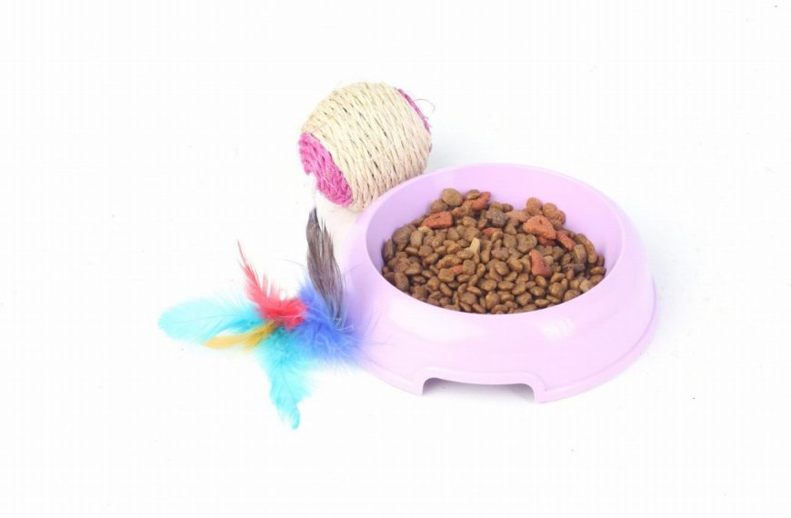 Ces jouets révolutionnaires garantissent des heures de détente à votre chat !