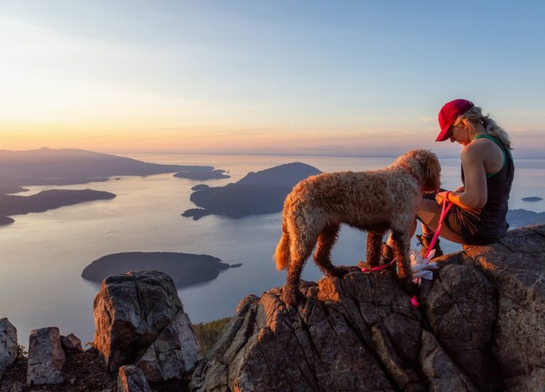 Chien de montagne portugais : guide race de…