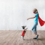 Chien rouge de Bavière : guide race de chien