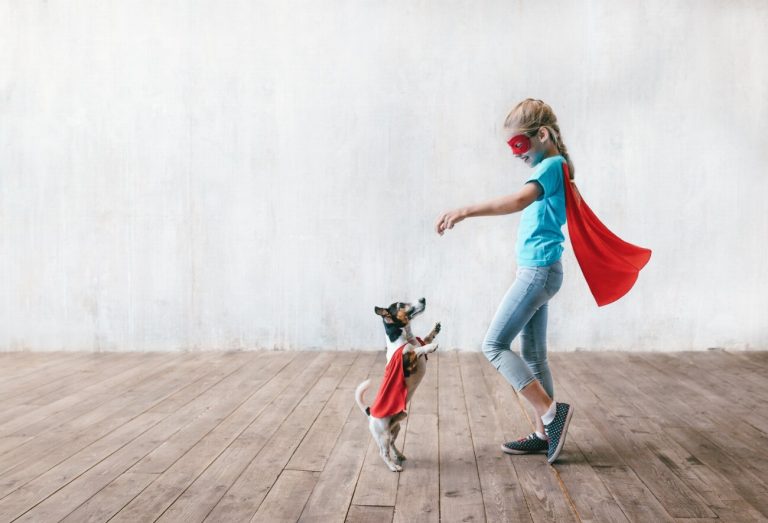 Chien rouge de Bavière : guide race de…