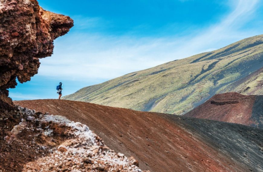 Cirneco de l’Etna : guide race de chien