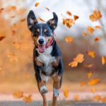 Danger ! Les signes choquants de déshydratation chez votre chien – Ne les ignorez pas !