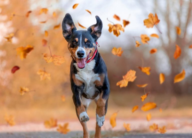 Danger ! Les signes choquants de déshydratation chez…