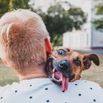Découvrez ce que le choix de votre animal de compagnie révèle sur votre vote !