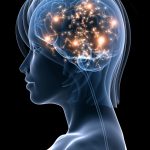 Découvrez ces 5 activités incroyables pour booster l&rsquo;intelligence de votre chat !
