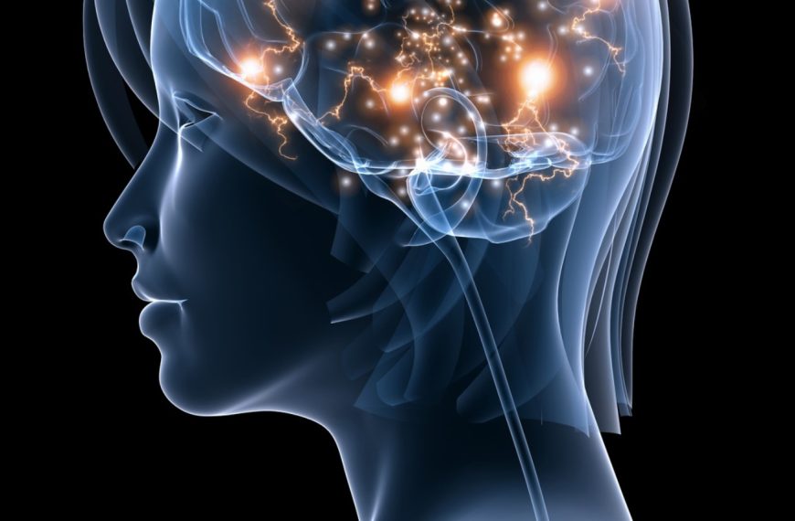 Découvrez ces 5 activités incroyables pour booster l’intelligence de votre chat !