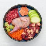 Découvrez comment les compléments alimentaires peuvent transformer la vie de votre chien !