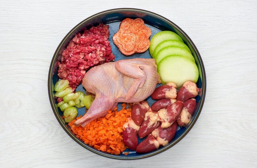 Découvrez comment les compléments alimentaires peuvent transformer la vie de votre chien !