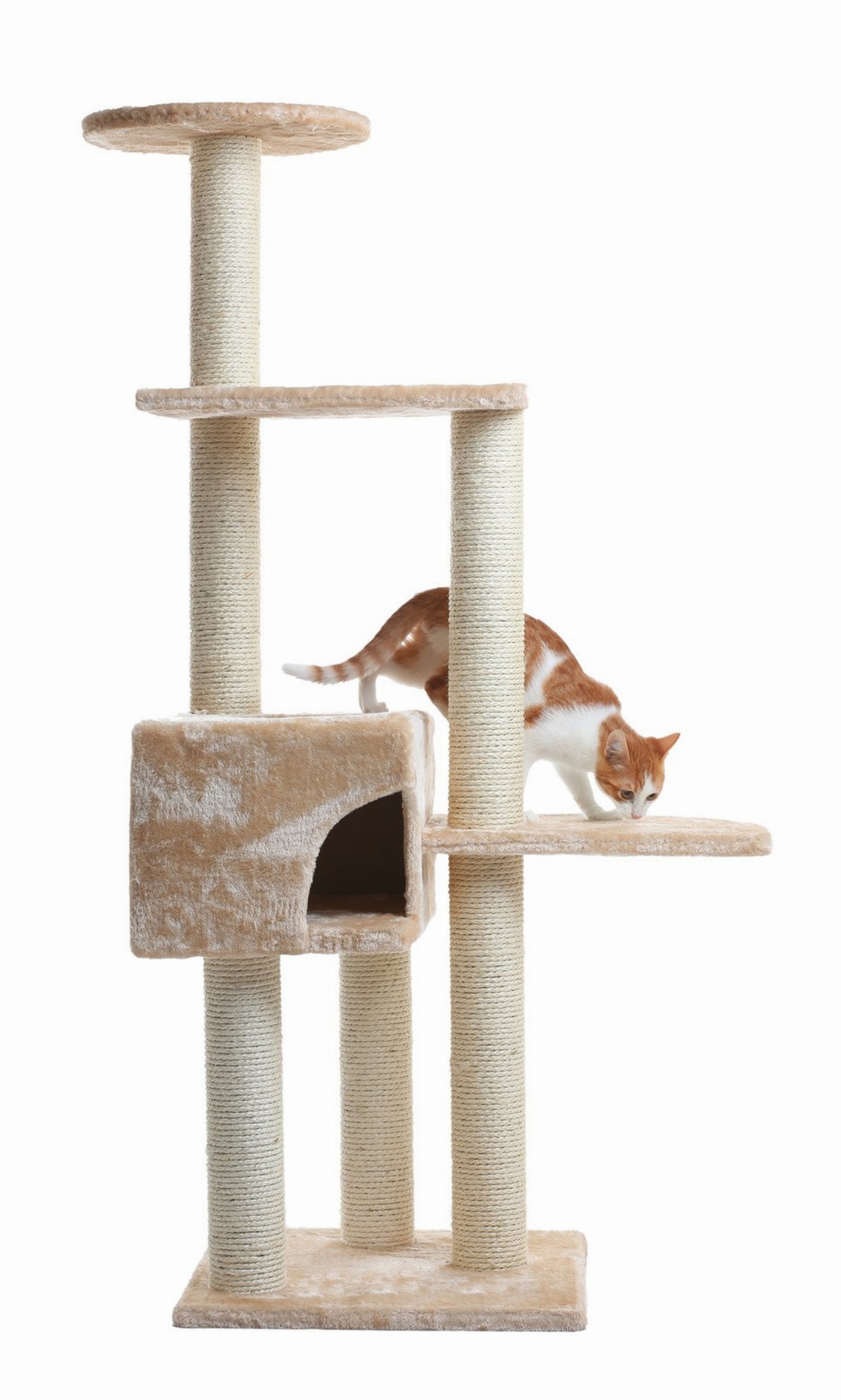 Découvrez l’astuce imparable pour empêcher votre chat de manger les…