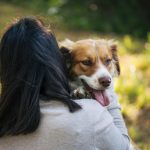 Découvrez la méthode infaillible pour mettre fin aux comportements agressifs envers les propriétaires ! Vous ne croirez pas les résultats !
