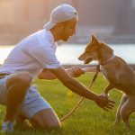 Découvrez LE chien idéal pour votre enfant et créez une relation unique et solide !