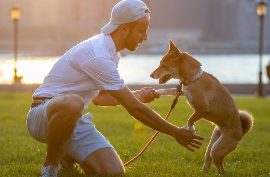 Découvrez LE chien idéal pour votre enfant et créez une relation unique et solide !