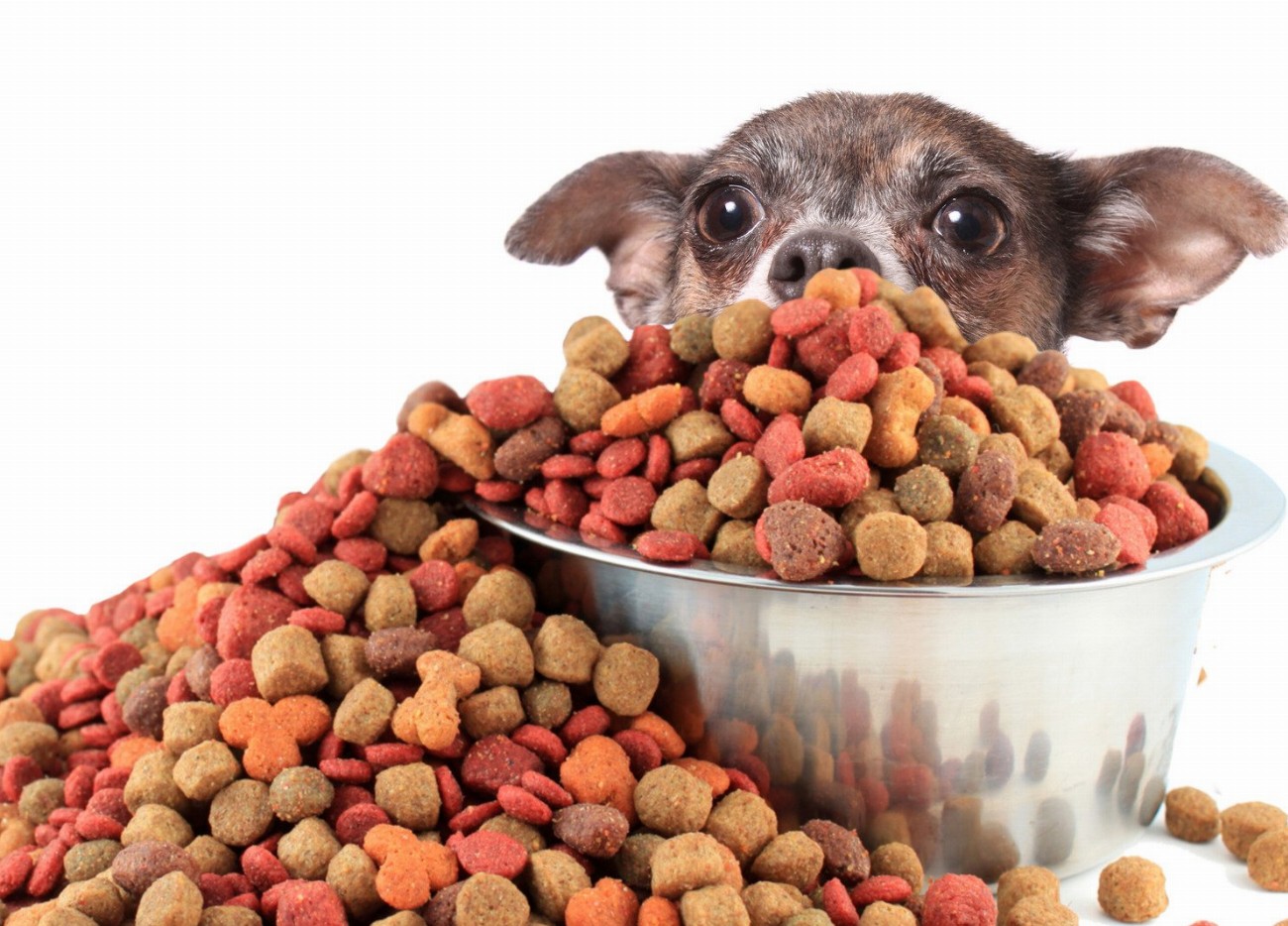 Découvrez le régime alimentaire idéal pour votre chien – tout…