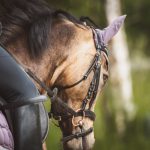 Découvrez le retour époustouflant du Salon du cheval de Paris !