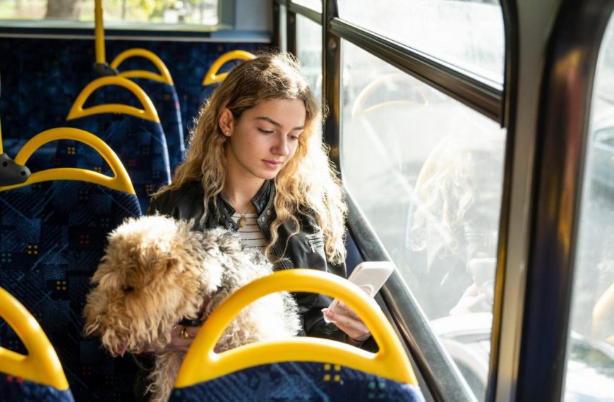 Découvrez le secret ultime pour voyager en bus avec votre chien en toute tranquillité – vous ne devinerez jamais !