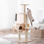 Découvrez les arbres à chat design qui vont révolutionner votre intérieur !