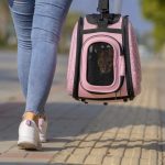 Découvrez les cages de transport pour chat qui vont révolutionner vos voyages avec votre félin !