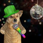 Découvrez les incroyables étapes de vie d&rsquo;un chien de travail – Vous ne croirez pas ce qu&rsquo;ils peuvent accomplir !