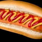 Découvrez les signes choquants de la jalousie chez les chiens – Vous ne croirez pas vos yeux !