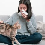 Découvrez pourquoi votre adorable chat a un secret bien gardé entre vos jambes !