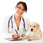 Découvrez la surprenante raison pour laquelle votre chien tremble !