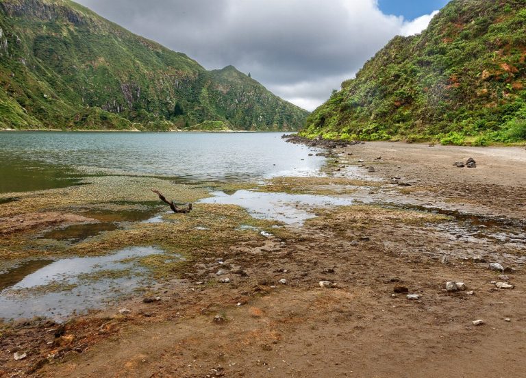 Fila de Sao Miguel : guide race de…