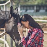 Kladruber : guide race de cheval