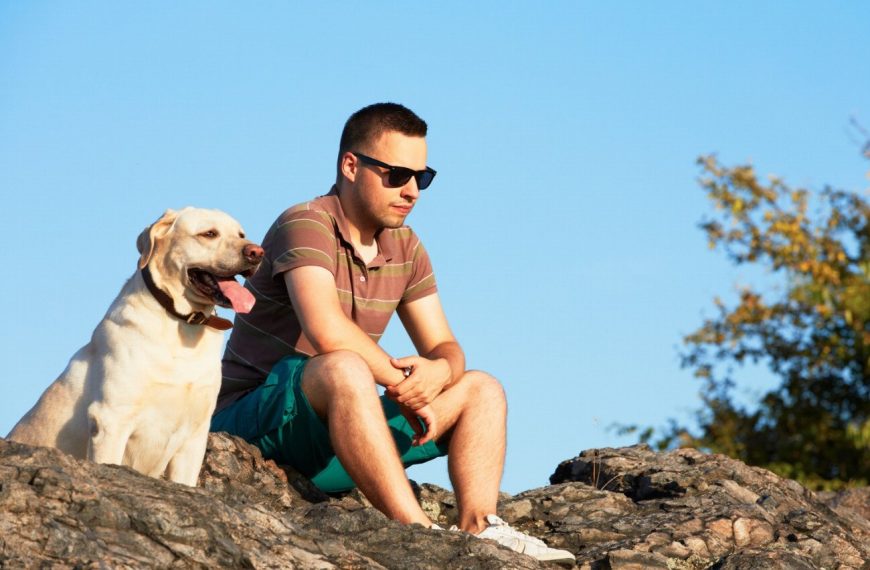 La clé du bonheur pour votre chien : découvrez pourquoi le jeu est essentiel pour son équilibre émotionnel !