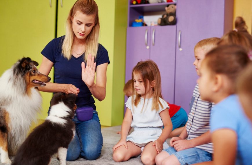 La musicothérapie canine : une nouvelle méthode révolutionnaire pour apaiser et guérir nos amis à quatre pattes !