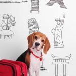 Le guide ultime pour voyager avec votre chien en scooter : découvrez nos astuces imparables !