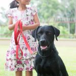 Le secret pour choisir le chien parfait pour accompagner un enfant autiste : la clé du bonheur et de l&rsquo;épanouissement !
